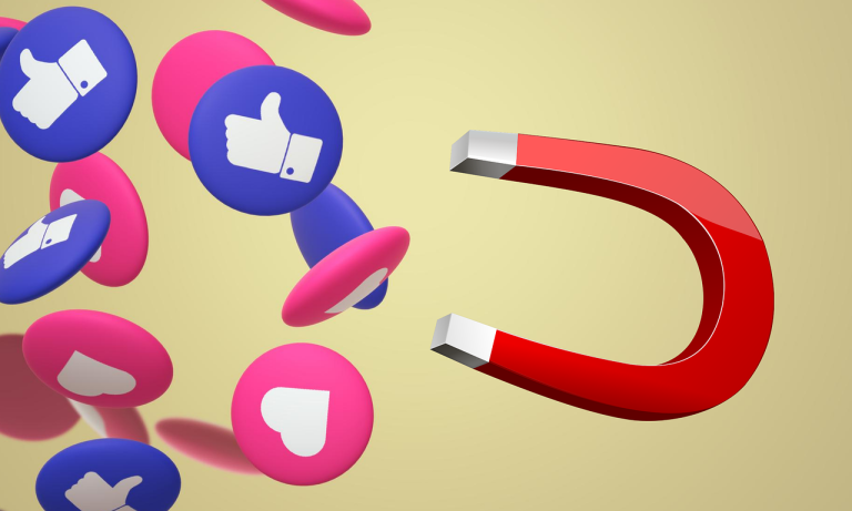 Email Marketing, Lead Magnet